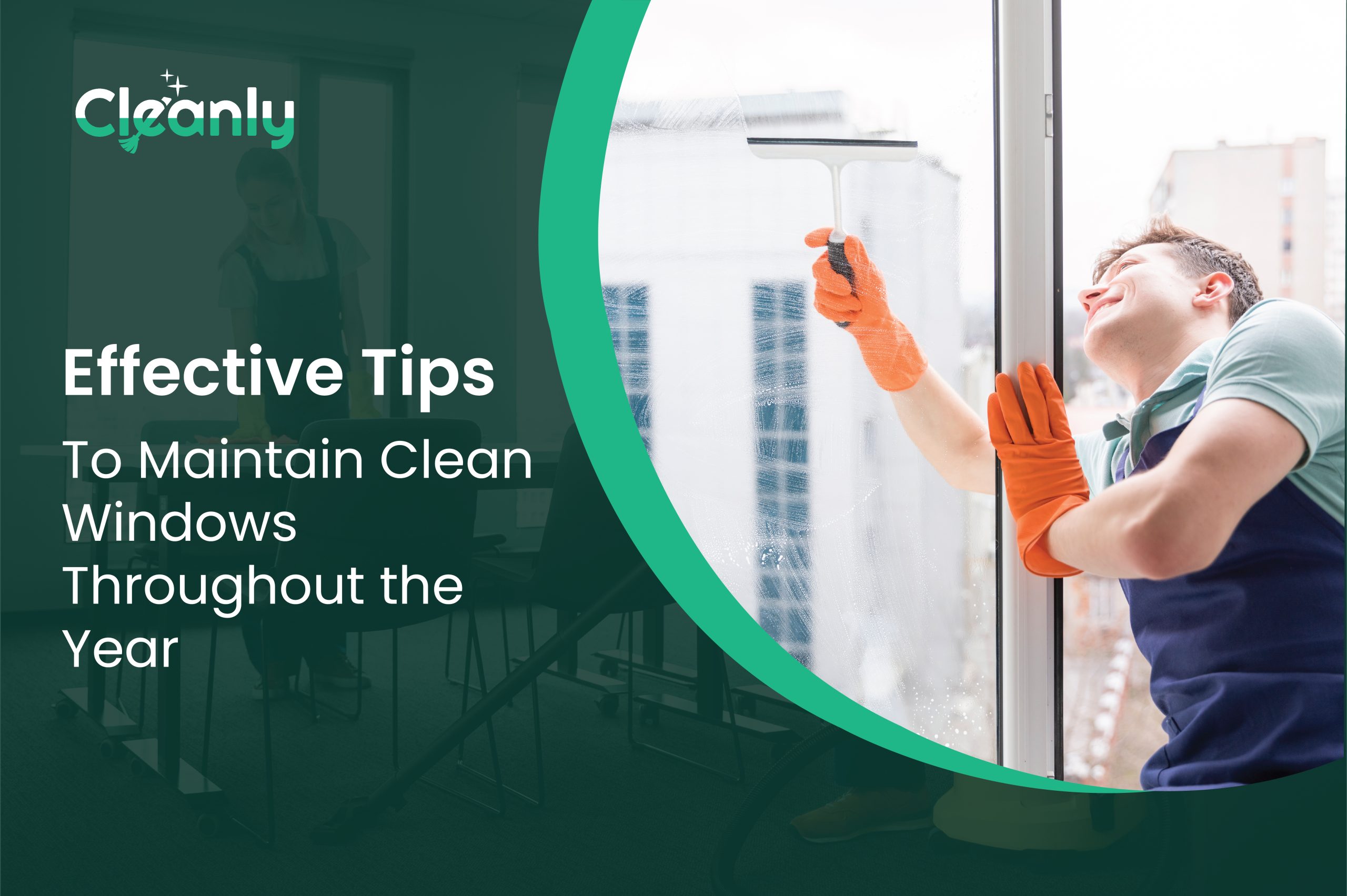 Effective Tips to Maintain Clean Windows Throughout the Year